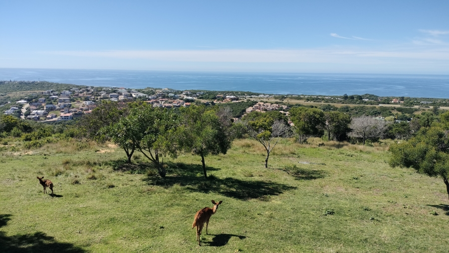 3 Bedroom Property for Sale in Grootbrakhoogte Western Cape